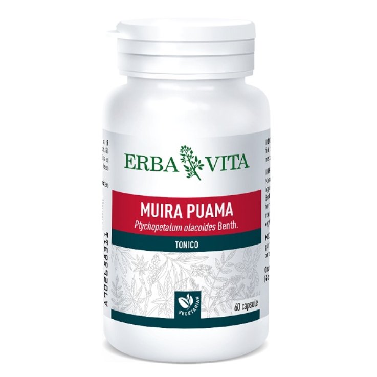 MUIRA PUAMA 60 CAPSULE 400 MG