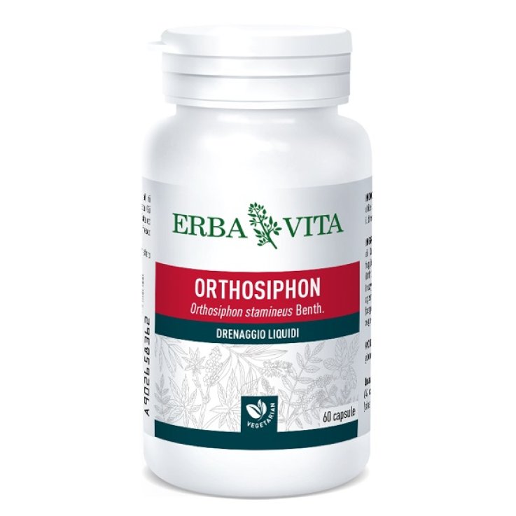 ORTOSIPHON 60 CAPSULE 400 MG