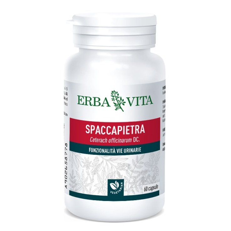 SPACCAPIETRA 60 CAPSULE 300 MG