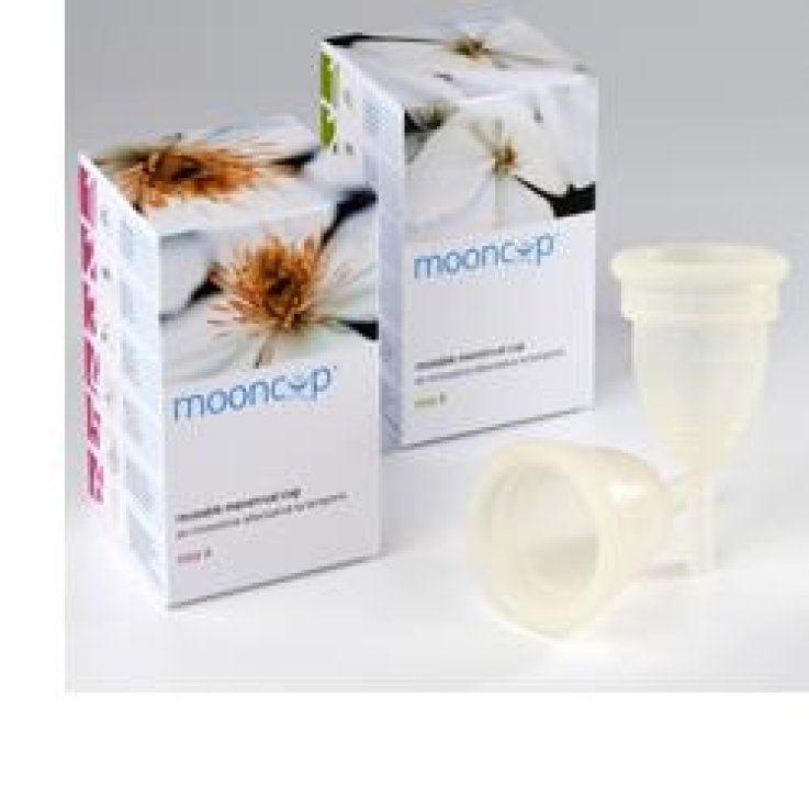 MOONCUP COPP MESTR B PIC