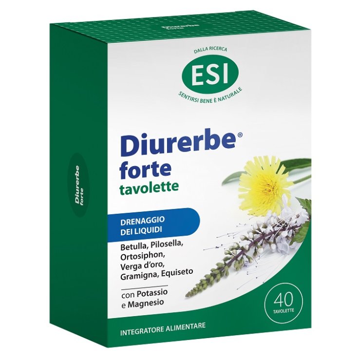 DIURERBE FORTE 40 TAV