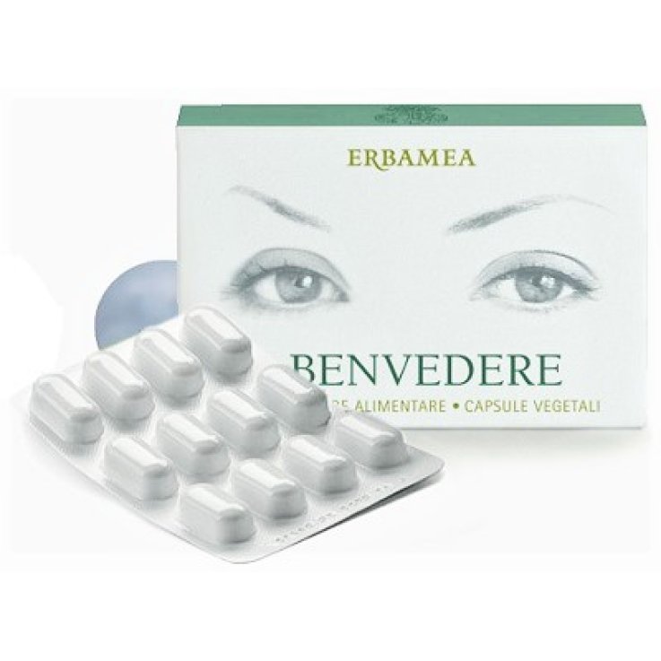 BENVEDERE 24CPS ERBAMEA BENVEDERE 24CPS ERBAMEA
