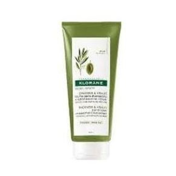 KLORANE BALSAMO ALL' ULIVO 50 ML