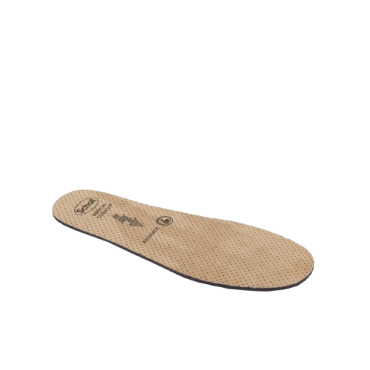 CLOG EVO Soletta A-Static42/43