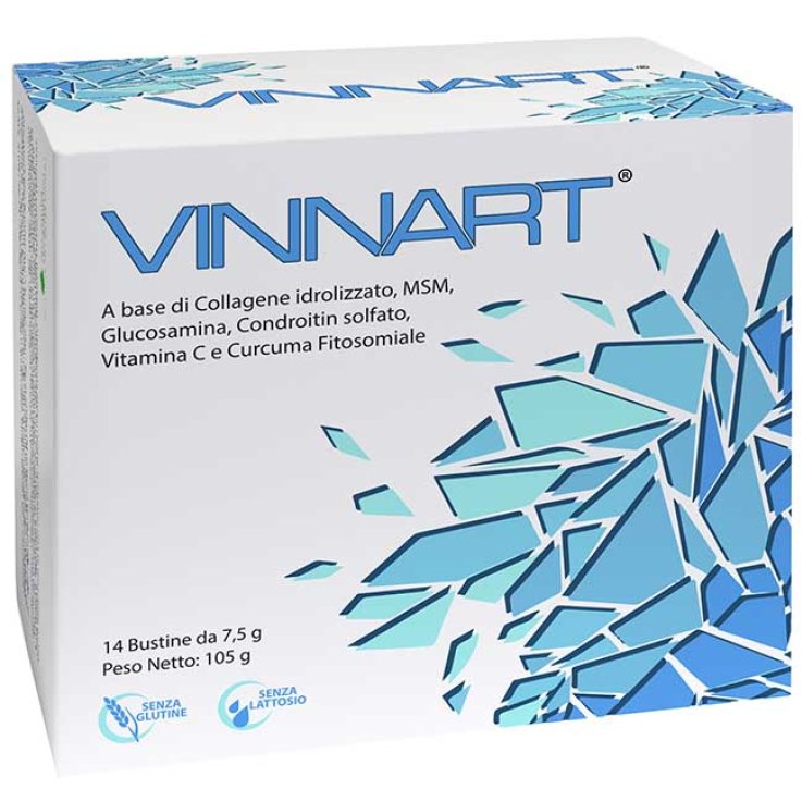VINNART 14BUST VINNART 14BUST
