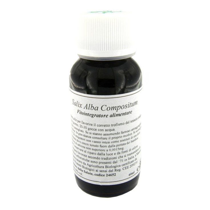 LVS 38N Salix Alba Comp.