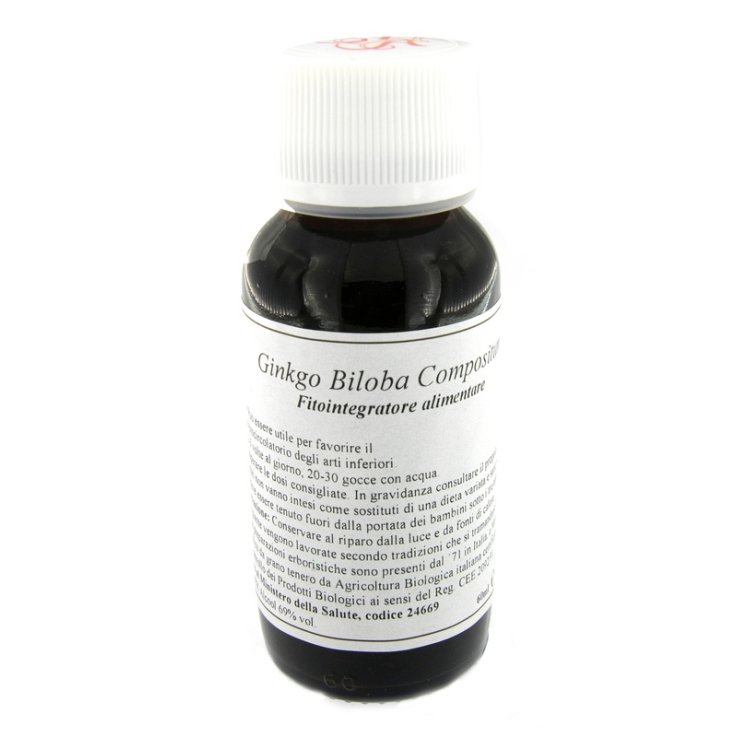 LVS 62S Ginkgo Biloba Comp.