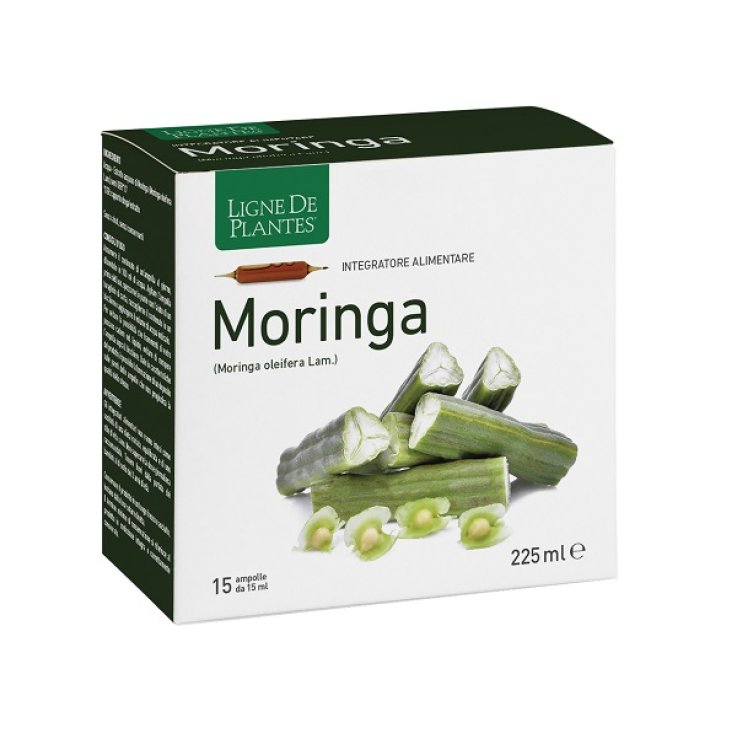 MORINGA 15AB 15ML
