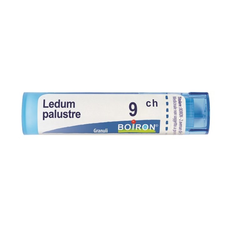 LEDUM PALUSTRE 9CH GR BO<