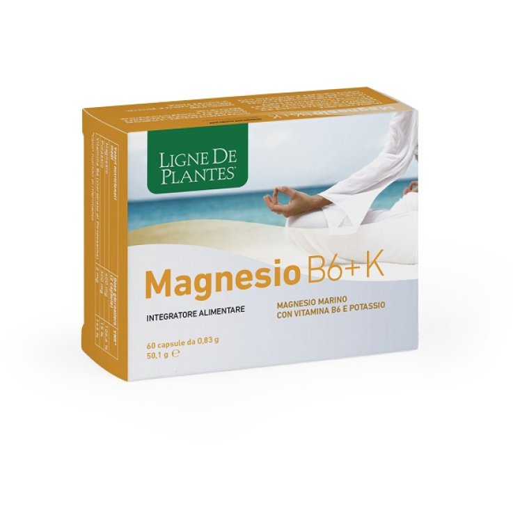 MAGNESIO B6 + K 60CPS